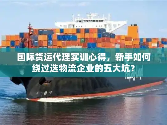 国际货运代理实训心得，新手如何绕过选物流企业的五大坑？
