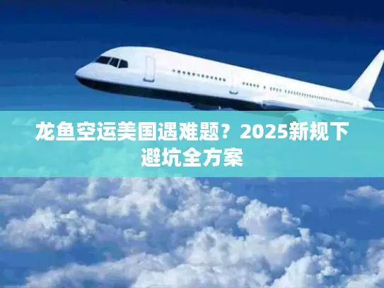 龙鱼空运美国遇难题？2025新规下避坑全方案