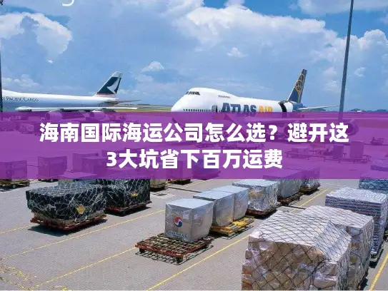 海南国际海运公司怎么选？避开这3大坑省下百万运费