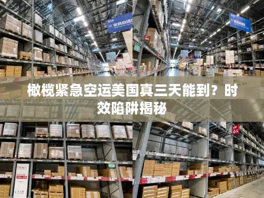 橄榄紧急空运美国真三天能到？时效陷阱揭秘