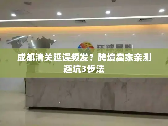 成都清关延误频发？跨境卖家亲测避坑3步法