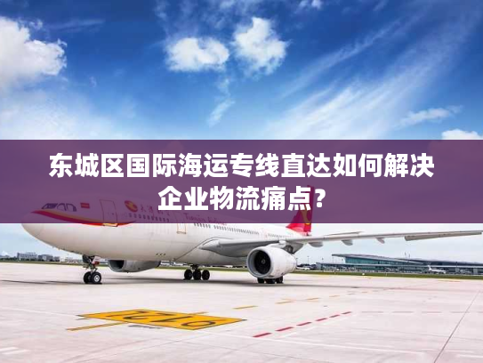 东城区国际海运专线直达如何解决企业物流痛点？