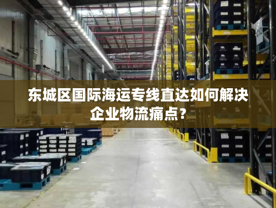 东城区国际海运专线直达如何解决企业物流痛点？