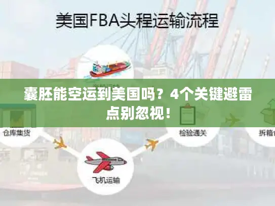 囊胚能空运到美国吗？4个关键避雷点别忽视！
