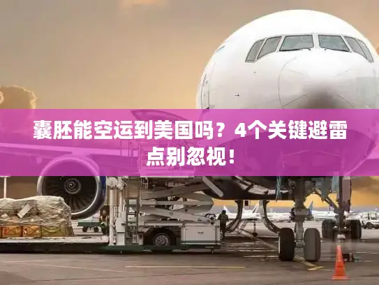 囊胚能空运到美国吗？4个关键避雷点别忽视！