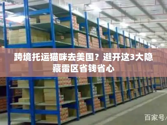 跨境托运猫咪去美国？避开这3大隐藏雷区省钱省心