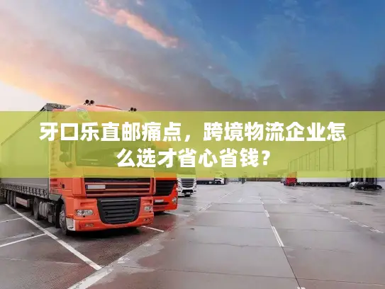 牙口乐直邮痛点，跨境物流企业怎么选才省心省钱？