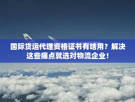 国际货运代理资格证书有啥用？解决这些痛点就选对物流企业！