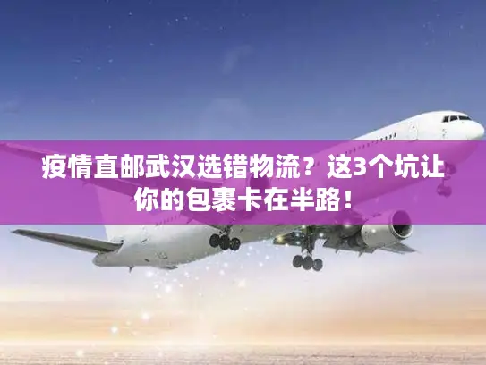 疫情直邮武汉选错物流？这3个坑让你的包裹卡在半路！