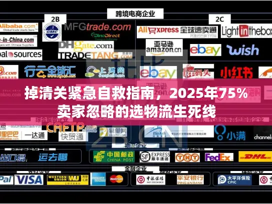 掉清关紧急自救指南，2025年75%卖家忽略的选物流生死线