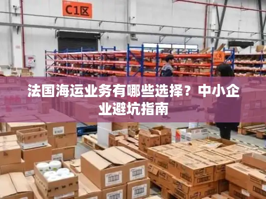 法国海运业务有哪些选择？中小企业避坑指南