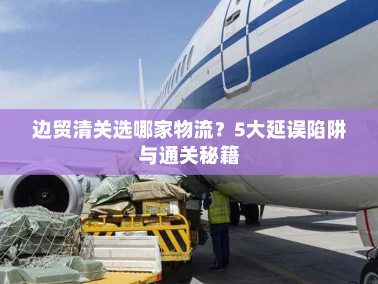 边贸清关选哪家物流？5大延误陷阱与通关秘籍