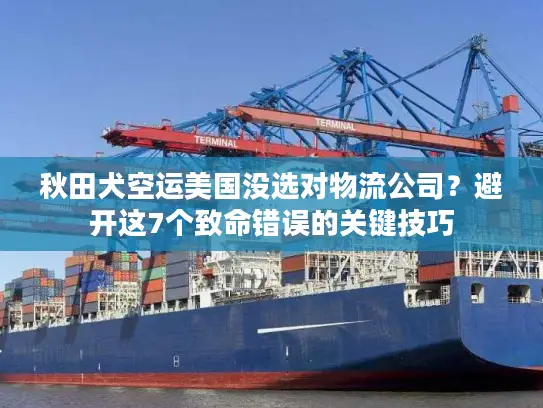 秋田犬空运美国没选对物流公司？避开这7个致命错误的关键技巧