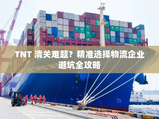 TNT 清关难题？精准选择物流企业避坑全攻略