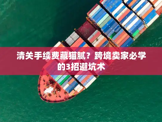 清关手续费藏猫腻？跨境卖家必学的3招避坑术