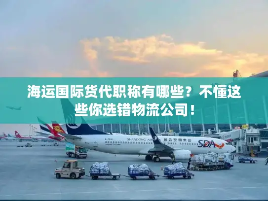 海运国际货代职称有哪些？不懂这些你选错物流公司！