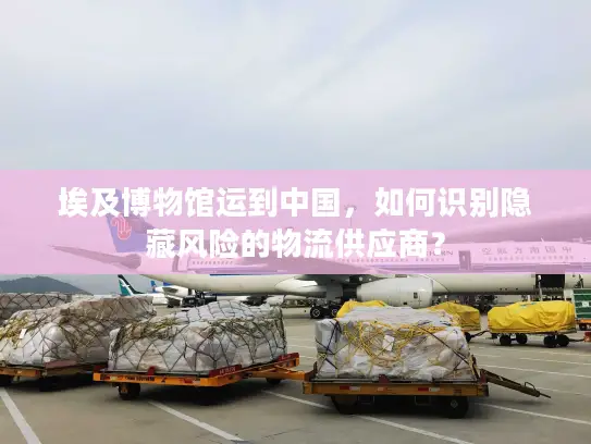 埃及博物馆运到中国，如何识别隐藏风险的物流供应商？