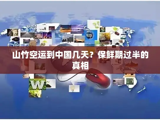 山竹空运到中国几天？保鲜期过半的真相