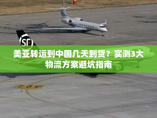 美亚转运到中国几天到货？实测3大物流方案避坑指南