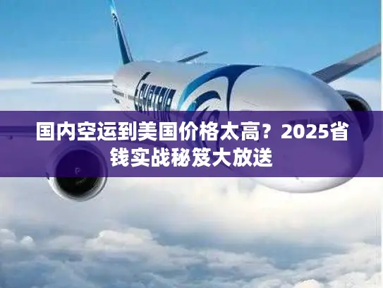 国内空运到美国价格太高？2025省钱实战秘笈大放送