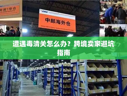 遭遇毒清关怎么办？跨境卖家避坑指南