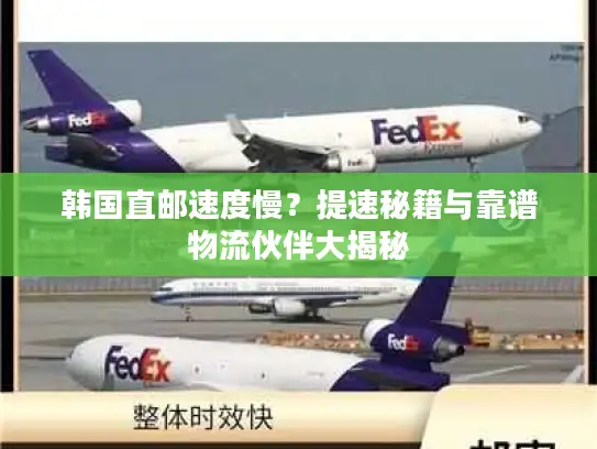 韩国直邮速度慢？提速秘籍与靠谱物流伙伴大揭秘