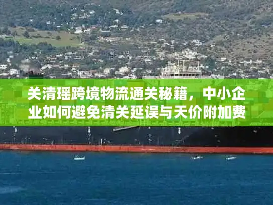 关清瑶跨境物流通关秘籍,中小企业如何避免清关延误与天价附加费? 关清瑶跨境物流通关秘籍,中小企业如何避免清关延误与天价附加费?