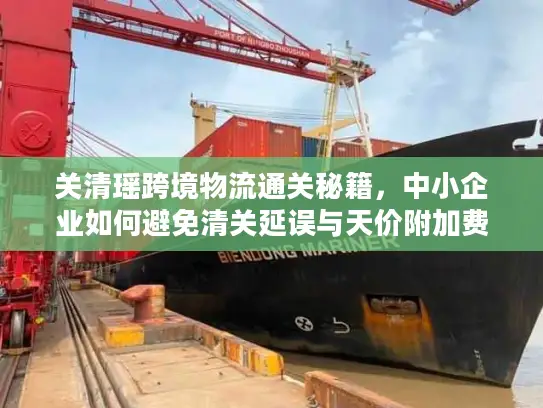 关清瑶跨境物流通关秘籍，中小企业如何避免清关延误与天价附加费？