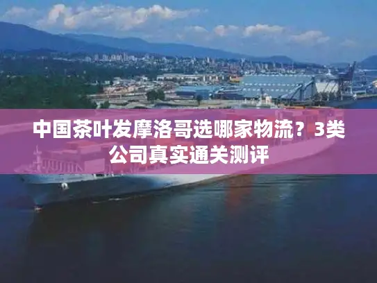 中国茶叶发摩洛哥选哪家物流？3类公司真实通关测评