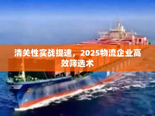 清关性实战提速，2025物流企业高效筛选术