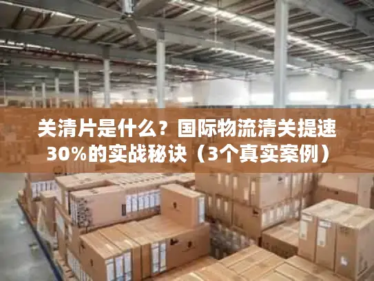关清片是什么？国际物流清关提速30%的实战秘诀（3个真实案例）