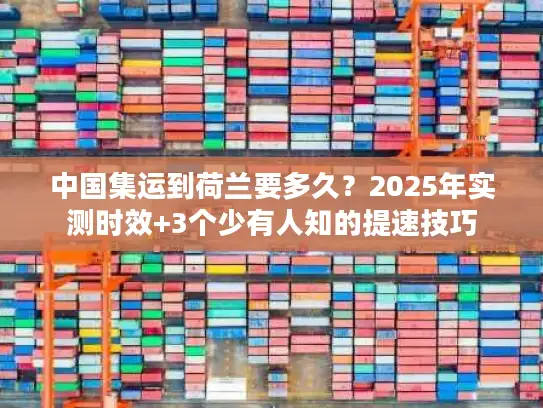 中国集运到荷兰要多久？2025年实测时效+3个少有人知的提速技巧