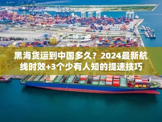 黑海货运到中国多久？2024最新航线时效+3个少有人知的提速技巧