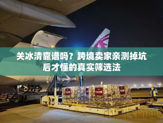 关冰清靠谱吗？跨境卖家亲测掉坑后才懂的真实筛选法