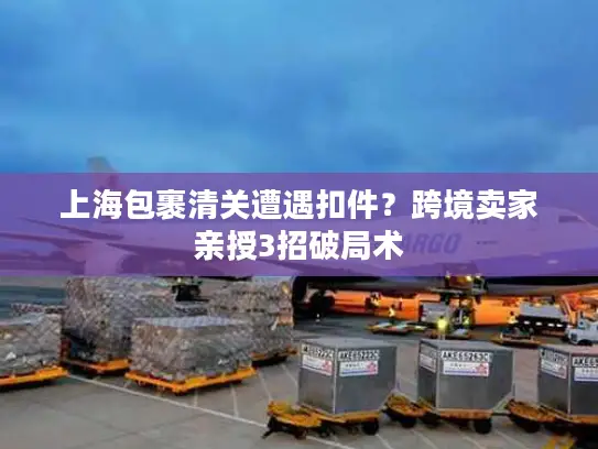 上海包裹清关遭遇扣件？跨境卖家亲授3招破局术