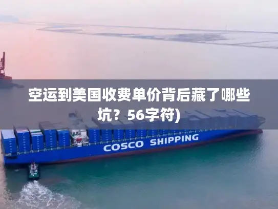 空运到美国收费单价背后藏了哪些坑?56字符) 空运到美国收费单价背后藏了哪些坑?56字符)