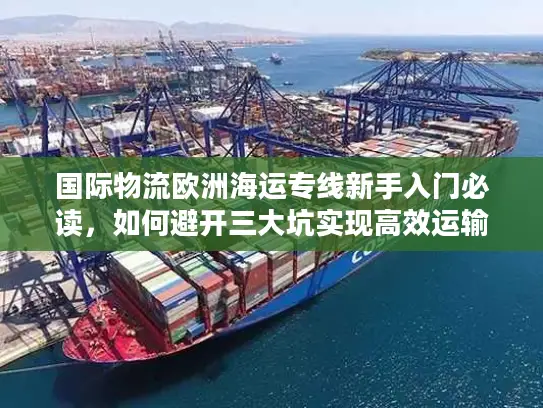 国际物流欧洲海运专线新手入门必读，如何避开三大坑实现高效运输？