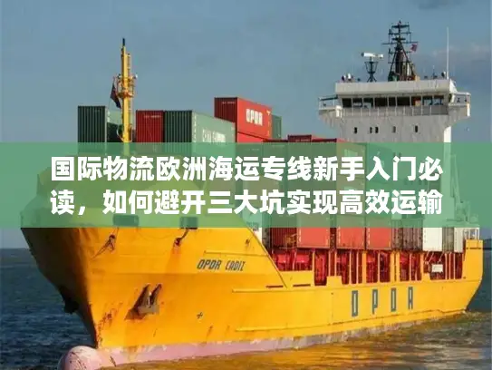 国际物流欧洲海运专线新手入门必读，如何避开三大坑实现高效运输？