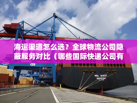 海运渠道怎么选？全球物流公司隐蔽服务对比（哪些国际快递公司有海运）