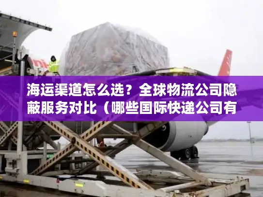 海运渠道怎么选？全球物流公司隐蔽服务对比（哪些国际快递公司有海运）