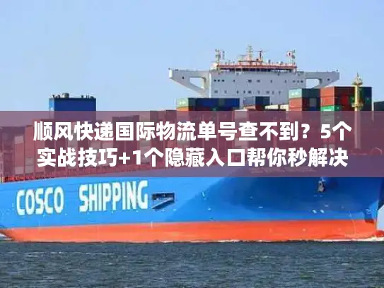 顺风快递国际物流单号查不到？5个实战技巧+1个隐藏入口帮你秒解决