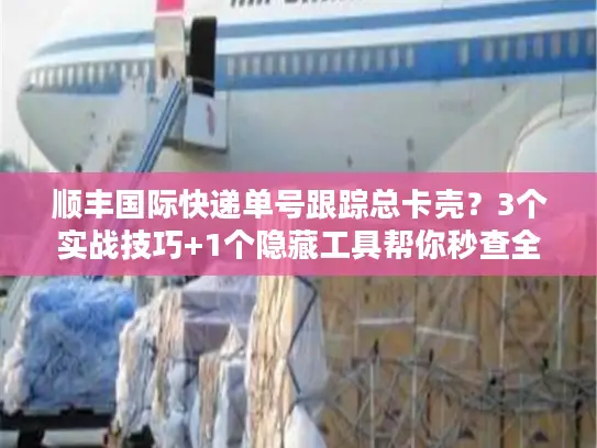 顺丰国际快递单号跟踪总卡壳？3个实战技巧+1个隐藏工具帮你秒查全程