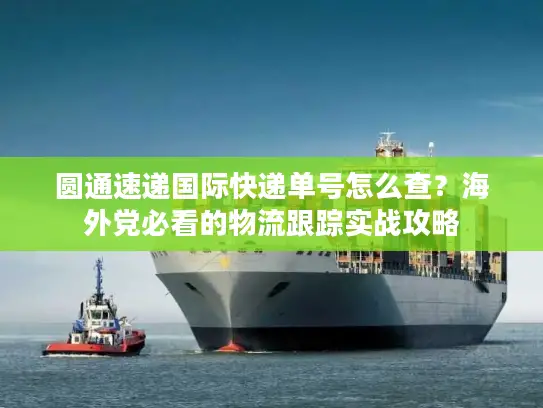 圆通速递国际快递单号怎么查？海外党必看的物流跟踪实战攻略