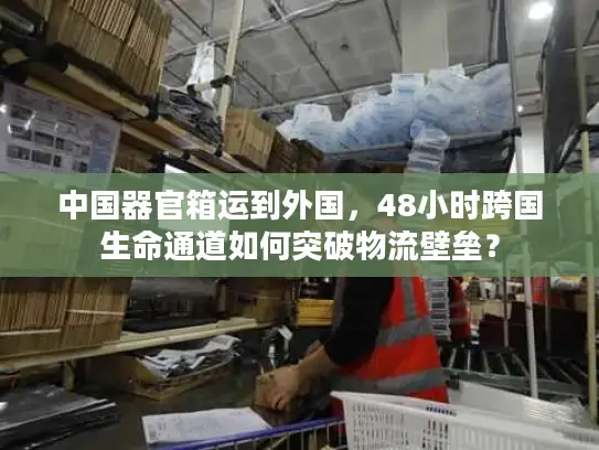 中国器官箱运到外国，48小时跨国生命通道如何突破物流壁垒？