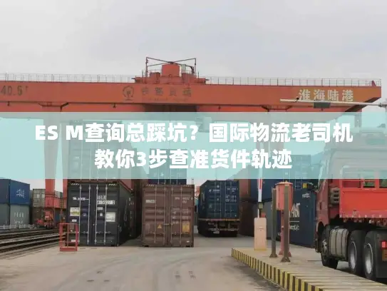 ES M查询总踩坑？国际物流老司机教你3步查准货件轨迹