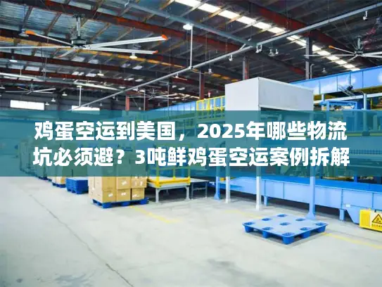 鸡蛋空运到美国，2025年哪些物流坑必须避？3吨鲜鸡蛋空运案例拆解