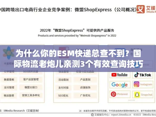为什么你的ESM快递总查不到？国际物流老炮儿亲测3个有效查询技巧