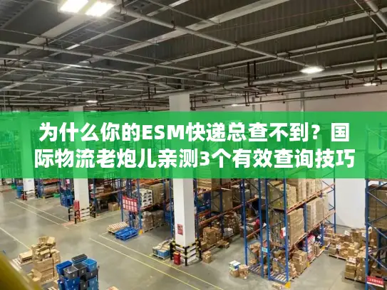 为什么你的ESM快递总查不到？国际物流老炮儿亲测3个有效查询技巧