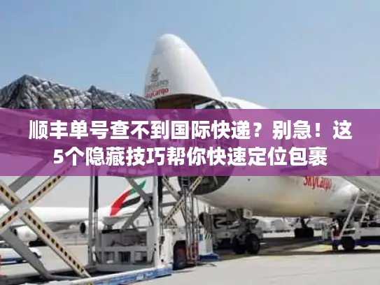 顺丰单号查不到国际快递？别急！这5个隐藏技巧帮你快速定位包裹