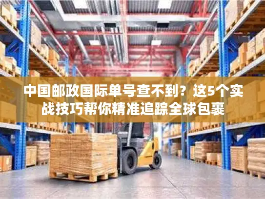 中国邮政国际单号查不到？这5个实战技巧帮你精准追踪全球包裹